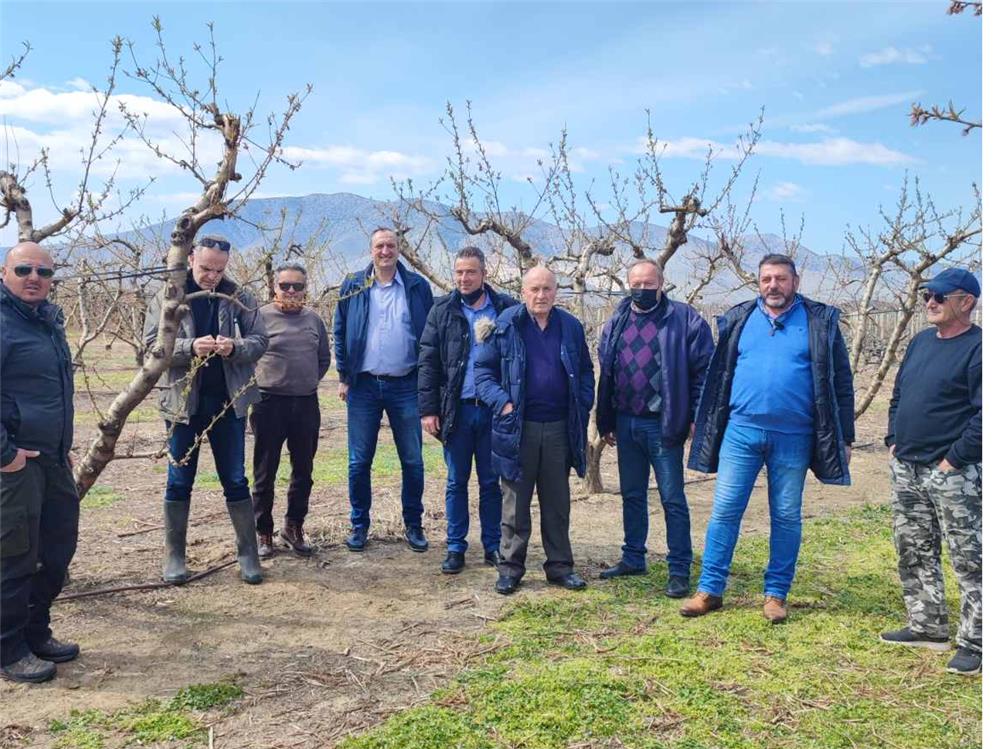 Κλιμάκιο της Περιφέρειας Θεσσαλίας   στις  παγετόπληκτες καλλιέργειες Τεμπών και Τυρνάβου 