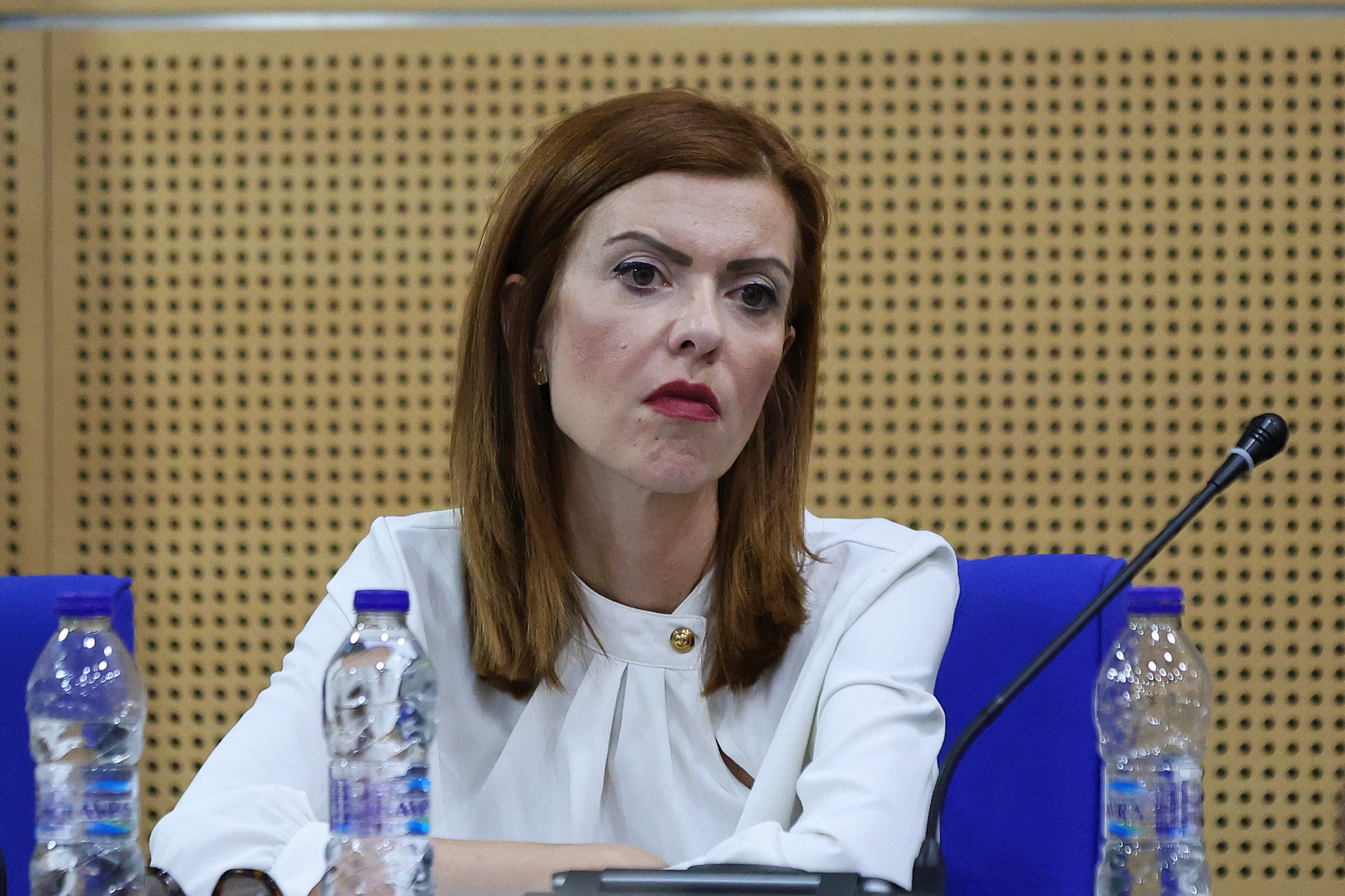 Από τη Θεσσαλία στη ΔΕΘ ο «κουμπαράς» για τα παιδιά