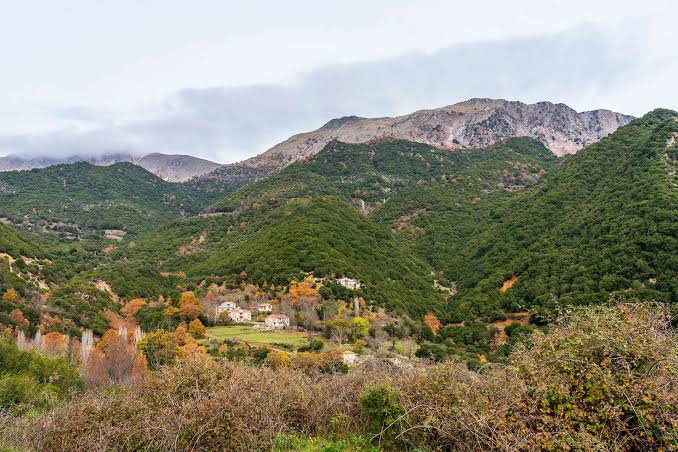 «Πράσινο «φως» από την Περιφερειακή Επιτροπή για το έργο αποκατάστασης  του οδικού δικτύου Αργιθέας - Πετρωτού, προϋπολογισμού 300.000 ευρώ