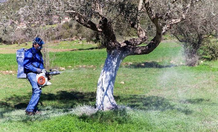 Διενέργεια 5ου Μερικού Δολωματικού Ψεκασμού στους Δήμους Τεμπών και Τυρνάβου